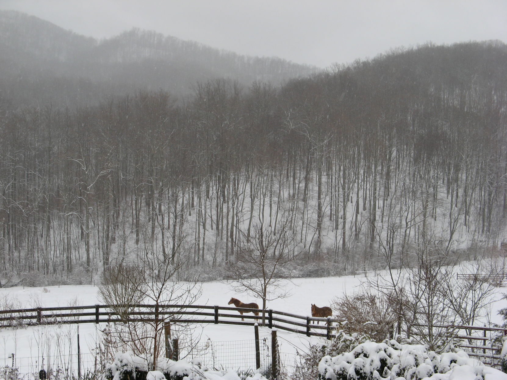 Scenic Virginia
